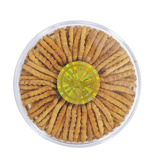 Wanlianwan Cordyceps Cordyceps Geschenkbox Geschenke Geschenke Cordyceps Health Tonics Geschenke für ältere 5 Sticks/Gramm 250 Gramm rot transparent