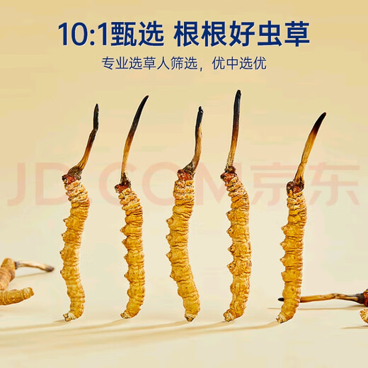 冬虫夏草（顺丰直发)藏区高海拔冬虫夏草礼盒送礼高端大气上档次 那曲虫草3根1克100装送5条自食