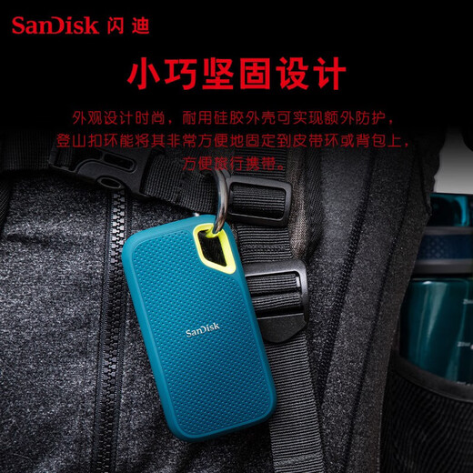闪迪（SanDisk） Type-C接口NVMe高速SSD移动固态硬盘E61存储USB3.2Gen2 松柏青 高速读取1050MB/S 至尊极速卓越版1TB（送收纳包）