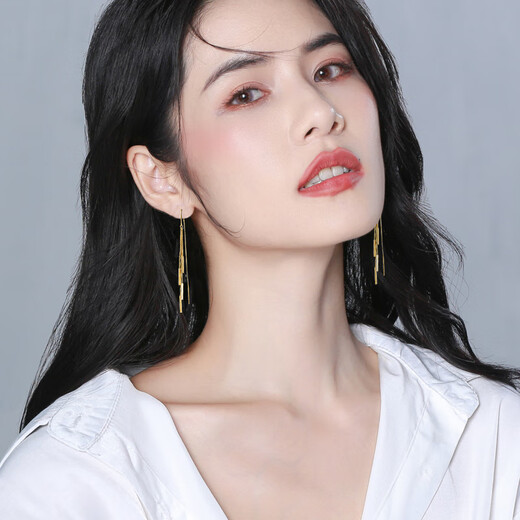 Qlady Tassel Earrings Feminine 925 Silver Needle Earrings Women's Niche Unique High-end Light Luxury Earrings Birthday Gift