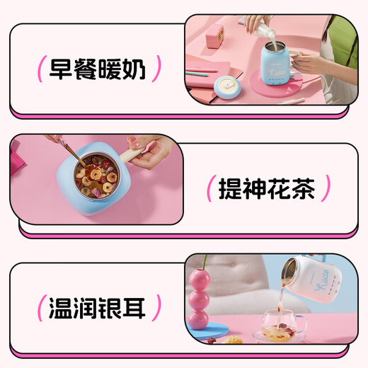 DAEWOO Mini Health Pot Office Health Cup Boiled Water Boiled Camellia Tea Tremella Warm Milk Portable Boiled Water Cup Insulated and Constant Temperature 304 Stainless Steel Holiday Gift D15-NTB