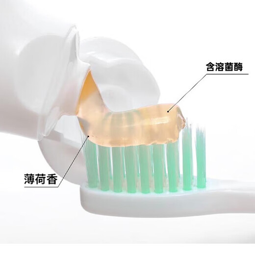 Rielz Pasta antibacteriana oral pasta oral rielz 100g 100g entregado a Guangzhou General Warehouse el mismo día