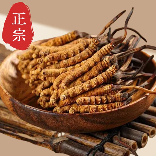 正宗冬虫夏草50条礼盒装虫草高品质正品药材虫草王干货虫草礼盒装 正宗藏区2条一克虫草 正宗虫草10克装