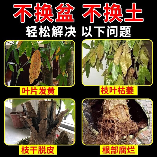 Aishangke Money Tree Nutrient Solution, the leaves turn yellow and fall off, the roots rot and the leaves fall off. Special fertilizer to promote roots, seedlings and sprouts without dilution. Buy 2 get 1 free. 3 bottles*500ml.