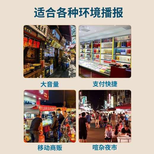 Shadow Giant WeChat payment prompt audio QR code collection voice announcer payment small speaker large volume black