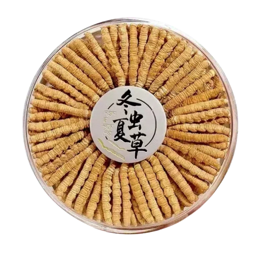 正宗冬虫夏草50条礼盒装虫草高品质正品药材虫草王干货虫草礼盒装 正宗藏区2条一克虫草 正宗虫草10克装
