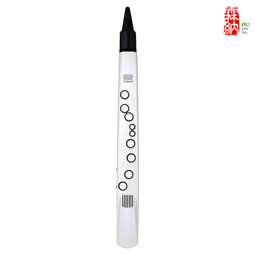 罗兰 ROLAND罗兰电吹管乐器AE01ae0501c初学入门电子萨克斯葫芦丝笛子 【】AE-01C(带民族音色)+标配礼