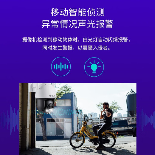 普联（TP-LINK） 双频无线5G WiFi监控摄像头 AI人形车辆识别 360度全彩家用高清室外防水球机 TL-AIPC653-A【500万超清标准版】 128G