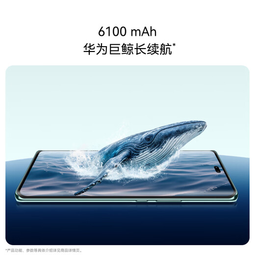 华为（HUAWEI）畅享 70X 国家补贴15% 512GB 湖光青 手机巨鲸长续航 双曲护眼屏 五星超耐摔 鸿蒙曲面屏手机