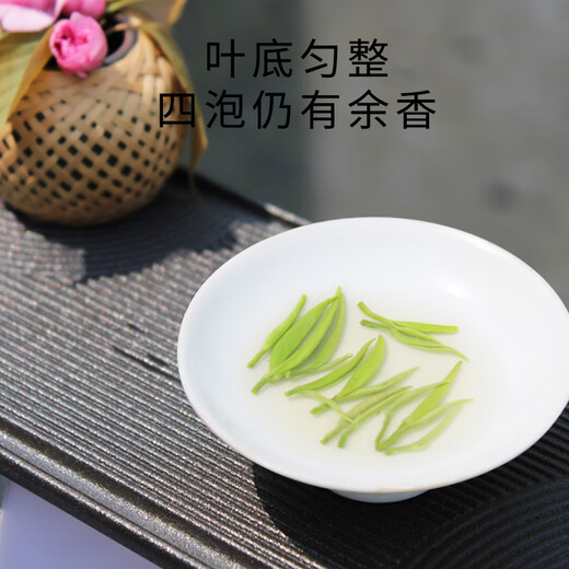 羽信蒙顶甘露特级绿茶茶叶2025明前新茶蒙顶山茶独立包装茶叶礼盒装 【国家地理标识】锁鲜30小袋(120g)