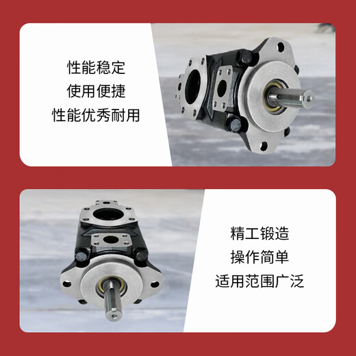 Biuyum hydraulic pump T6C-028-1R00-C1