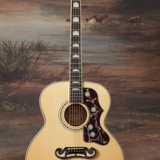 Juliet Guitar Juliet Guitar F910 Full Single Electric Box