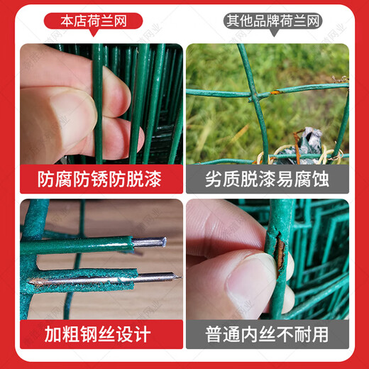 Dutch wire mesh fence protective net breeding net cattle fence isolation net chicken duck goose iron mesh plastic coated fence 1.5 meters high * 30 meters long 6 cm mesh 3.3 mm thick long-term use for 8 years