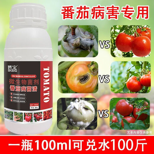 Tomato Disease Bacteria Clearing Microbial Bacteria Tomato Disease Botrytis Botrytis Anthrax Fungicide Non-Toxic Bacteria-Inhibiting Bacteria Best Selling Tomato Bacteria Clearing Tomato Bacteria Clearing 100g 1 Bottle