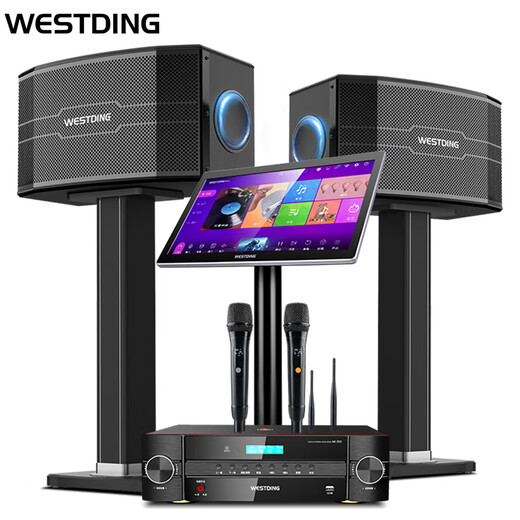 Westin audio home ktv singing complete equipment karaoke karaoke machine voice singing living room high-power 10-inch four-way speaker set 118 all-in-one machine national subsidy