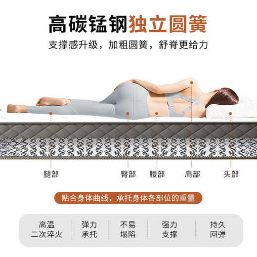 Yi Chang Simmons spring mattress coconut palm double bed spine protection independent round spring + brown 21CM1.5x2m harder 302 style