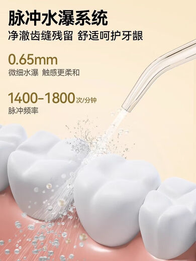 英普利（ENPULY）冲牙器便携式家用洗牙器水牙线正畸专用清洁牙齿缝洗牙神器 奶白色【12种压力调节】4支喷嘴/Y826