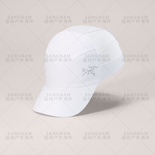 Archaeoptera Bird (Arc'teryx) Calvus Cap Männer und Frauen im Freien im Freien im Freien für die Trockenkappe Baseball-Kappe Sport Sun Hut x6346/a Black_black l_xl geeigneter Kopfkreis 58-60
