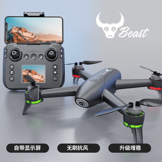 兽带屏幕无人机航拍入门儿童玩具遥控飞机高清男孩礼物SG600pro双电