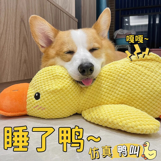 Crazy owner dog toys relieve boredom, pet puppies plush dolls, big dogs self-pleasure, teeth grinding and bite-resistant dog supplies