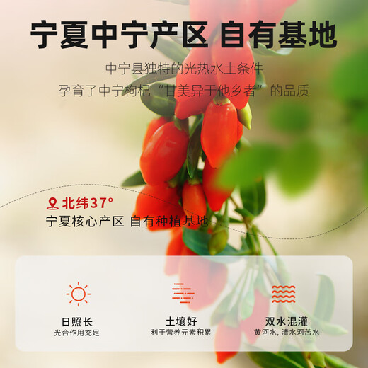杞里香红枸杞子中宁头茬特优级枸杞500g新货宁夏免洗枸杞茶构苟杞茶泡水