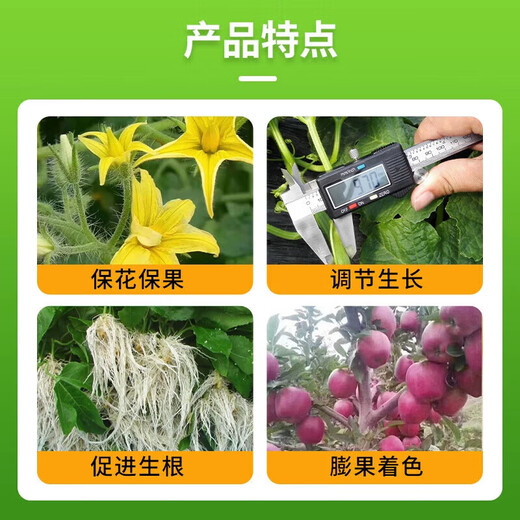 98% ethanol plant growth regulator DA-6 flower and fruit preserving foliar fertilizer pesticide Zheng's Chemical 1000g