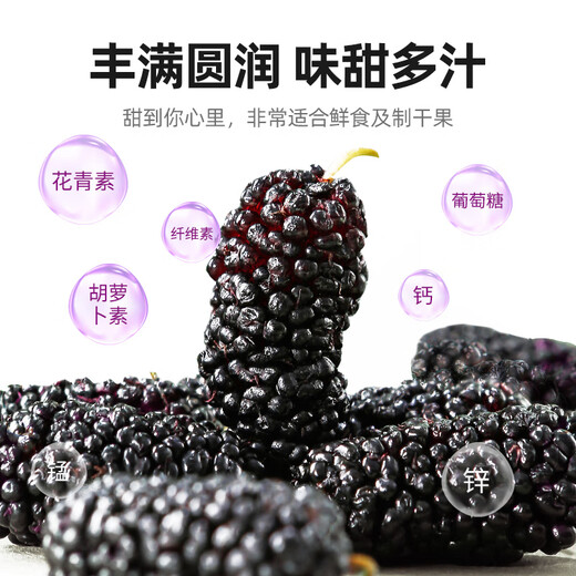 Qilixiang Wolfberry séché Mulberry Combination 1kg (4 canettes) Ningxia Première Mulberge de Wolfberry Black Rouge trempé dans le thé de la santé de l'eau