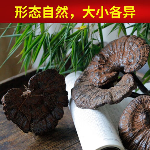 Fat Donglai's same wild Ganoderma lucidum pure natural purple Ganoderma wild L raw mountain natural non-bitter pruned branch with spore powder 250 grams Ganoderma lucidum sliced 3-4 pieces