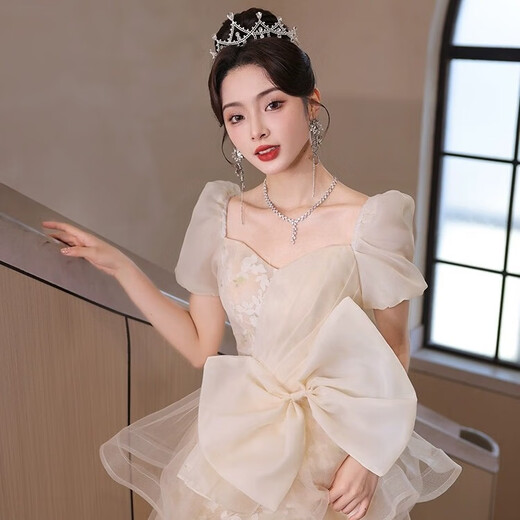 丽佰昕晚礼服裙轻奢小众高端宴会女气质高级感绝美艺考主持人年会成人礼 香槟色 M 建议90-100斤