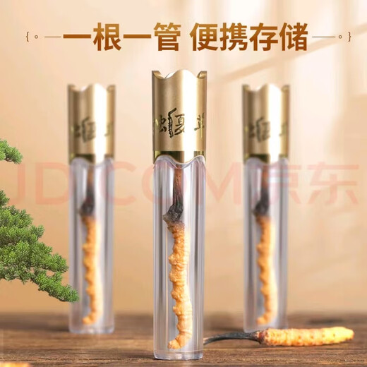 Sélectionnée Cordyceps de haut niveau Sinensis à haute altitude Cordyceps Sinensis Boîte-cadeau nourrissante haut de gamme pour les anciens et les dirigeants aux clients 3 pièces / gramme au total [Excellent valeur pour un nouveau essai]
