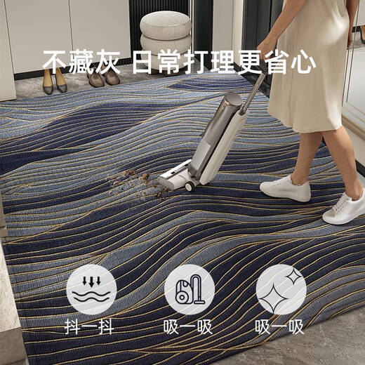 咏幻地垫入户门垫2024新款高端进门门口脚垫家用防滑耐脏免洗玄关地毯 流影-竖版15473 140cm*160cm升级9代耐脏法尔曼