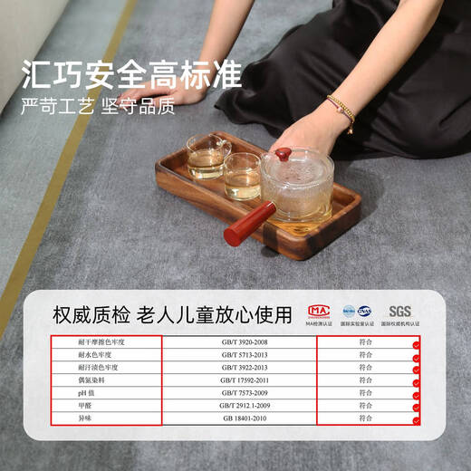 客厅地毯轻奢高级感免洗黑沙发搭配地毯客厅2024新款轻奢高级感房 15839 140*200cm[无甲醛无异味]