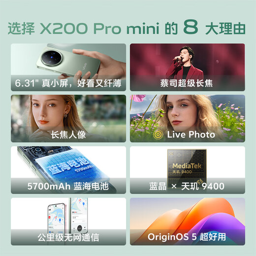 vivo x200 pro mini 12 GB+512 GB Mikropowder National Subvention 6,31 Zoll dünn kleiner gerader Bildschirm Zeiss Super-Tele 5700mah Blaues Ozean Batterie-Handy