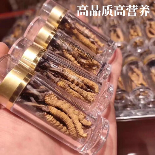 Authentic Cordyceps sinensis first period selected nourishing dry goods two gram gift boxes for gifts and nutritious Cordyceps tonics, authentic Cordyceps sinensis in Tibetan areas, 4 gram one gram 50 gram