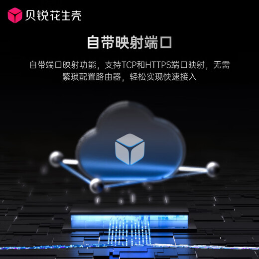 花生壳盒子 花生棒Pro 内网穿透内网映射ngrok端口映射NAT智能硬件远程访问支持接入frp