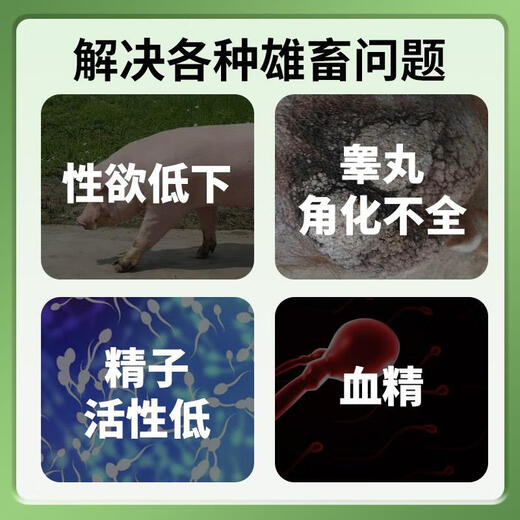 OIMG boar multi-dimensional feed premix supplements vitamin nutrition to improve sperm breeding rate and extend service life 5kg/box