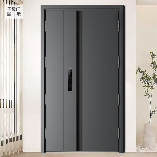 
Gu Hao thickened Class A security door entrance door + anti-plitting and explosion-proof safety door mother door + 4 hinges more stable + smart door lock face recognition fingerprint lock Inlaid visual smart lock 2050*1050 [single door, open direction consultation]