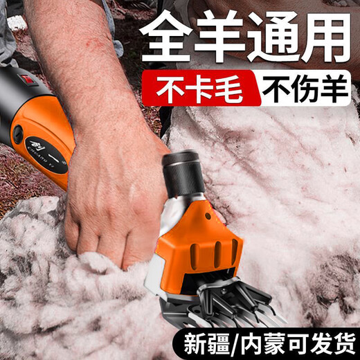 Chuangyi Electric Wool Ciscaillers Electric Ciseaux Raser la laine FADER ELECTRIQUE Large Ciscons cisaillement 3880AW + 9 SPILT BLADE X2