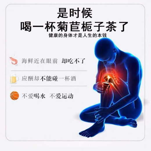 通用菊苣栀子片黄太阳菊苣栀子茶葛根桑叶茯苓茶青钱柳组合真材实料养 1罐 1mg 原料装60包【巩固装】中医推荐送杯