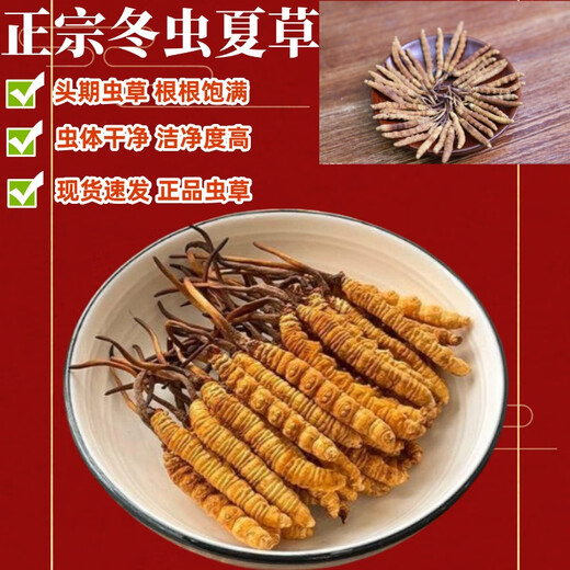 Authentic Cordyceps sinensis first period selected nourishing dry goods two gram gift boxes for gifts and nutritious Cordyceps tonics, authentic Cordyceps sinensis in Tibetan areas, 4 gram one gram 50 gram