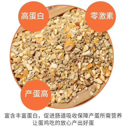Laying hen feed full price feed chicken corn crumbs laying hen medium and large chicken household chicken food duck quail chicken feed 20Jin Jin is equal to 0.5 kg layer hen feed