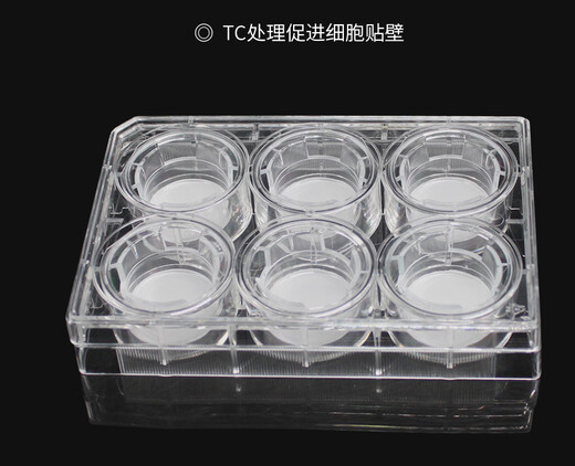 Sélection de Labelect de 24 puits à 6 puits à 12 puits PC / Membrane de compagnie Plaque de culture de chambre cellulaire Transwell 12 puits (membrane de compagnie de Pet 12 mm taille de pores 0,4 m) 1421
