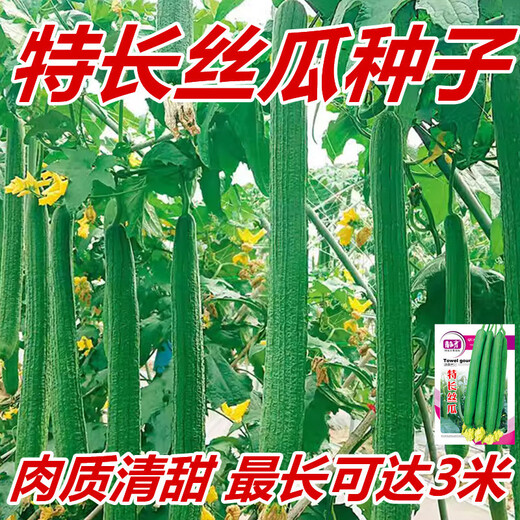 Long luffa seeds are planted in all seasons, early maturing snake-shaped luffa garden pots contain luffa, meat and vegetable seeds. The flesh is sweet. Long luffa seeds are planted all year round. Original 75 capsules. 88% people choose it.
