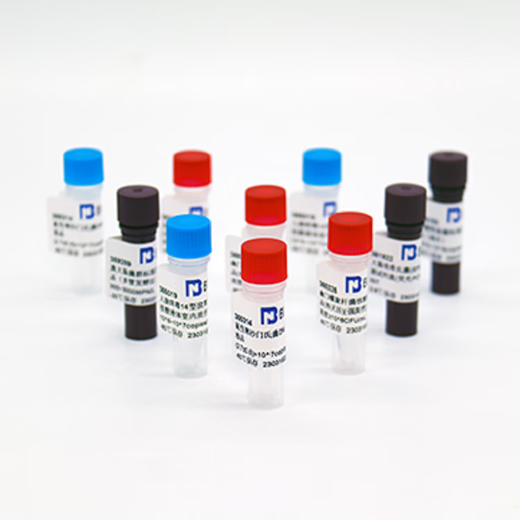 Beina human adenovirus type 32 nucleic acid reference product (heat-inactivated) (strong positive) BNCC377687 cryopreservation tube; concentration 10^5TCID50/mL; single tube