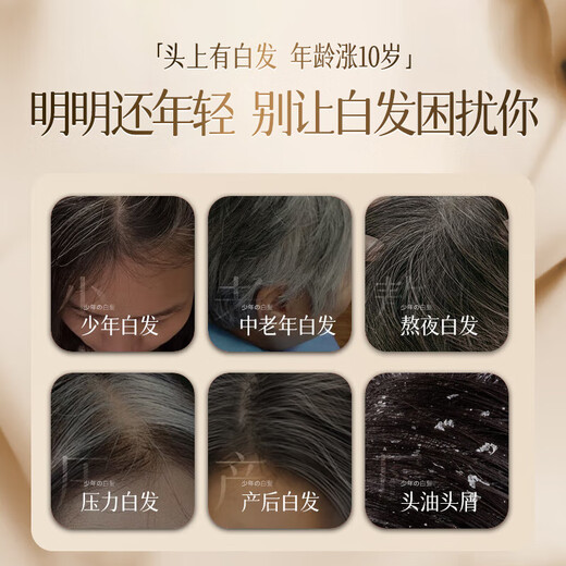 Tongrentang Polygonum multiflorum shampoo black Ganoderma lucidum white hair nourishes black hair roots Chinese medicine shampoo for middle-aged and elderly people