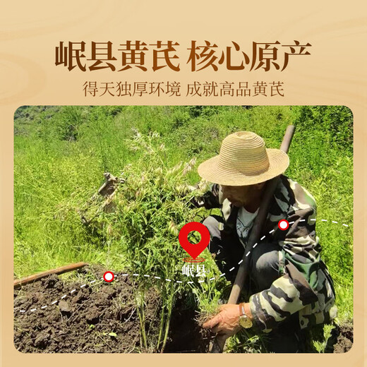 Gongyuan a sélectionné les comprimés d'astragalus 260g / can avec réglisse, dates rouges, Wolfberry, codonopsis, tranches angéliques, ingrédients de la soupe