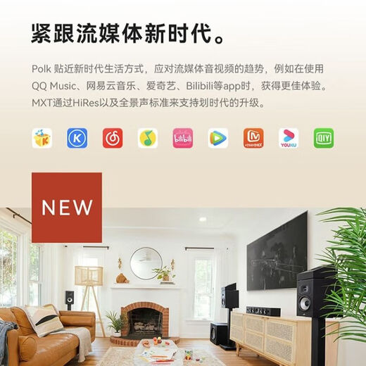 Denon (DENON) X550+MXT20 audio amplifier home theater 5.1 speaker set passive bookshelf speaker subwoofer living room TV audio basic 5.1 X550+MXT20