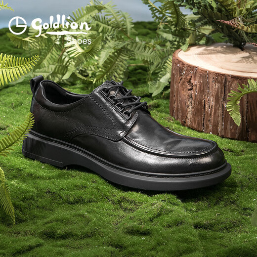 Goldlion Men's Shoes Urban Fashion Autumn Formal Leather Shoes Comfortable and Wear-Resistant Derby Shoes 50823024401A Black Size 40
