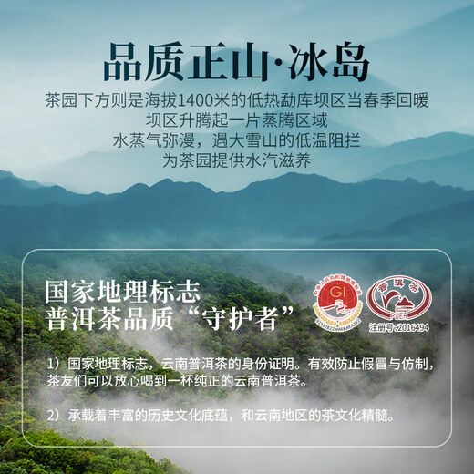 勐昌號普洱茶熟茶2020年云南冰岛小金砖熟普36g茶叶自己喝