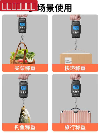志高手提电子秤便携式高精度家用行李称挂钩称小型精准弹簧秤3524 志高品牌质量有保障
